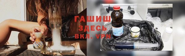 стаф Алексин