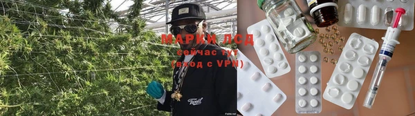 молекула духа Козельск