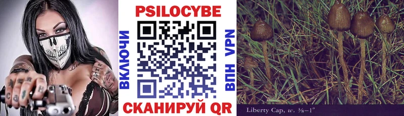продажа наркотиков  omg tor  Псилоцибиновые грибы Psilocybe  Каменск-Уральский 